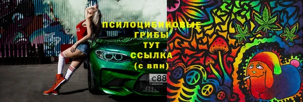 мдпв Верея